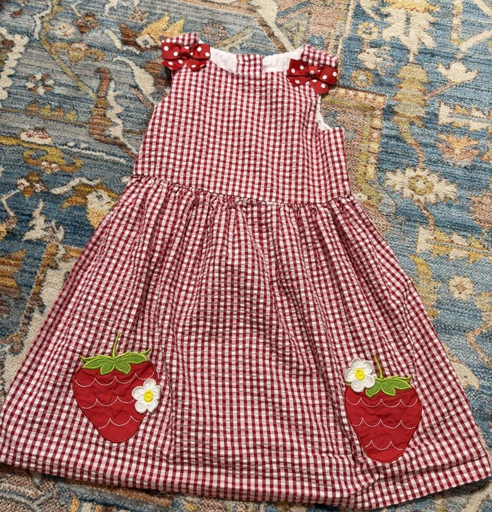 Vintage Girls Counting Daisies Red Gingham Strawberry Dress Size 5T